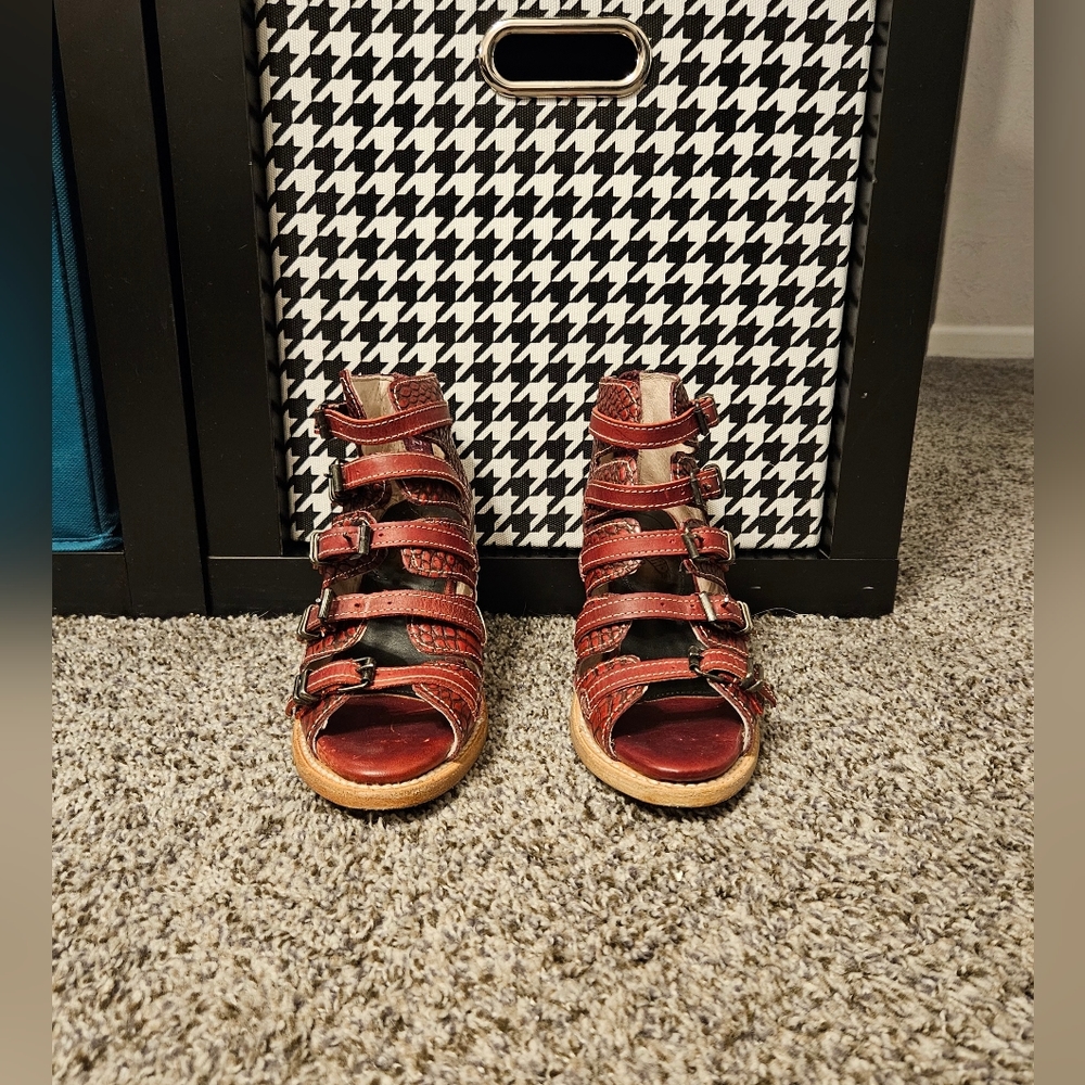 Freebird by Steven - Quinn in Red Croco size 5